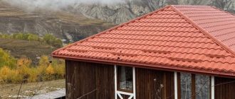 Командная сессия на высоте: кейсы бизнесов, которые прошли Сивух